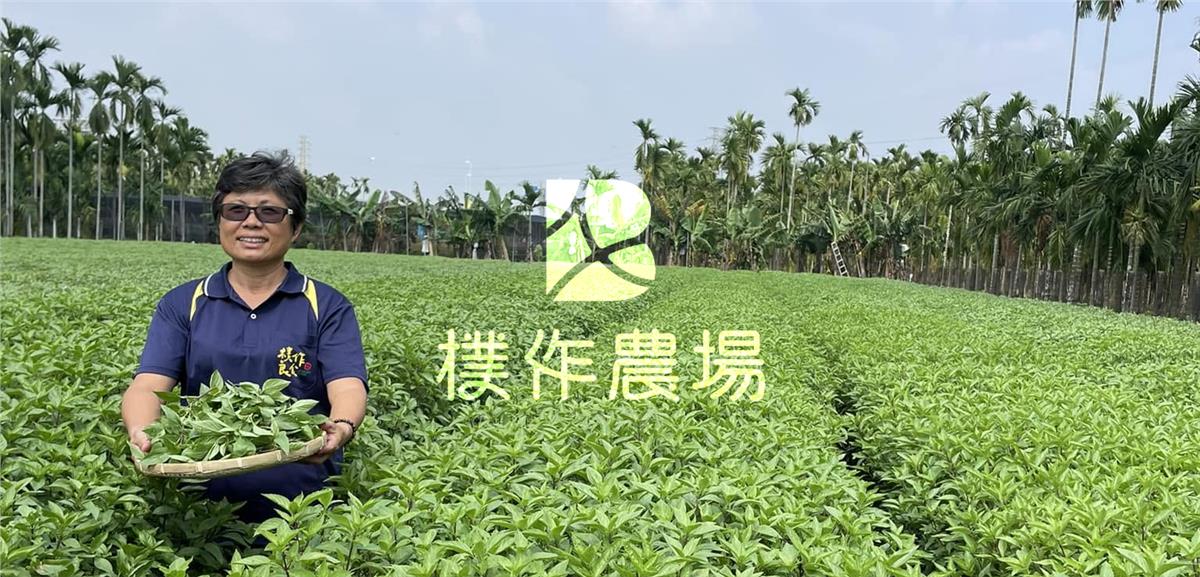 佳合農產股份有限公司,品牌故事