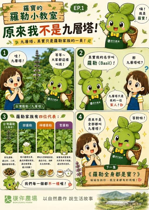 🌿 《羅寶的羅勒小教室》EP.1 上線！